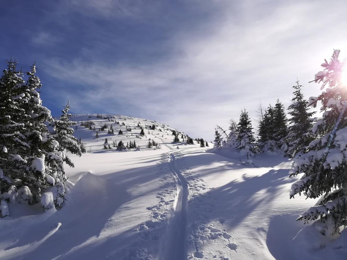 Premium Appartements Sonnenbahn Sankt Michael im Lungau Dış mekan fotoğraf